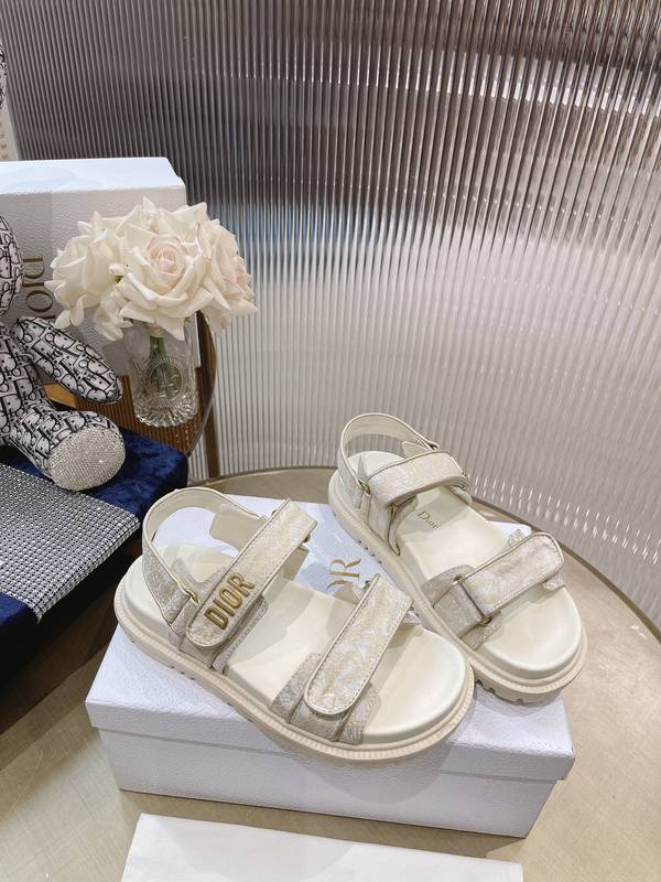 Dior Shoes DIS00509